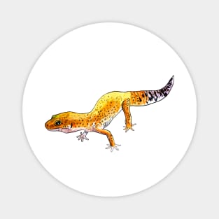 Gecko Magnet